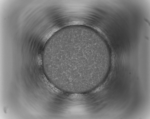 X0000101450929200808041015