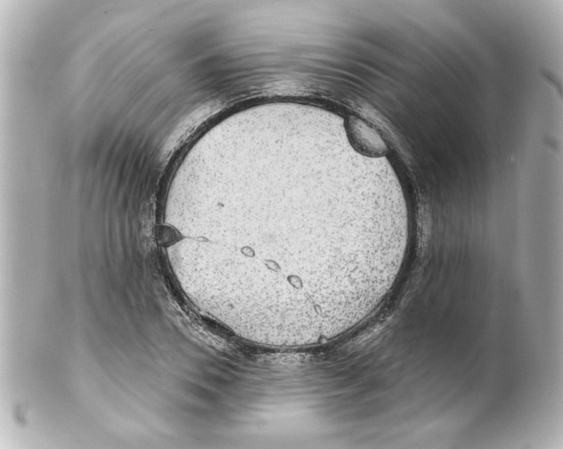 X0000101450930200808041015