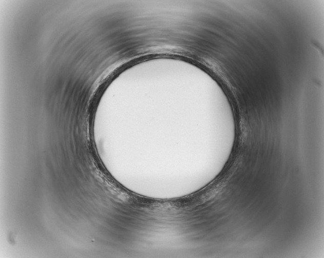 X0000101450931200808041015