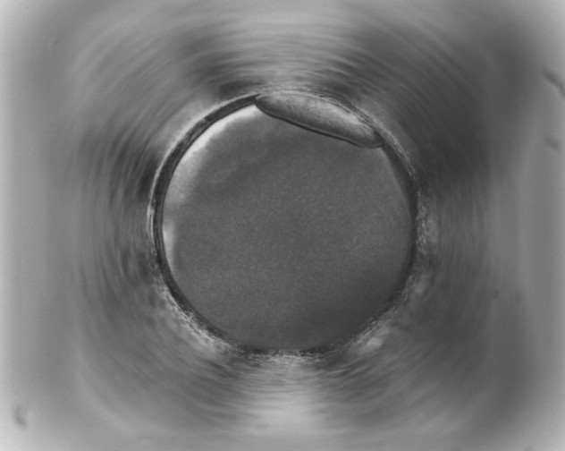 X0000101450932200808041015