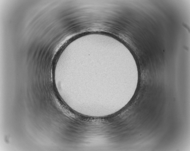 X0000101450934200808041015