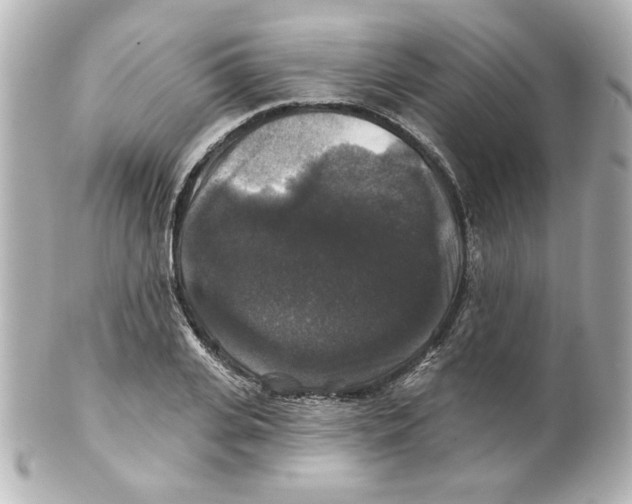 X0000101450935200808041015