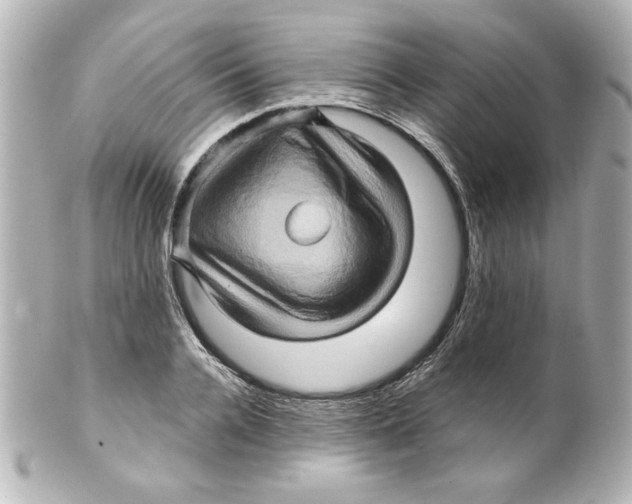 X0000101450936200808041015