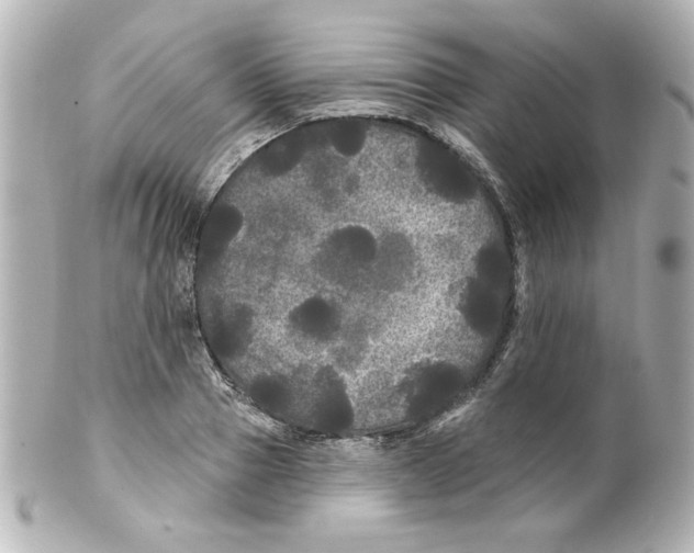 X0000101450937200808041015