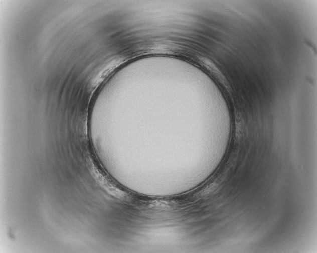 X0000101450938200808041015