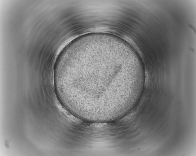 X0000101450939200808041015