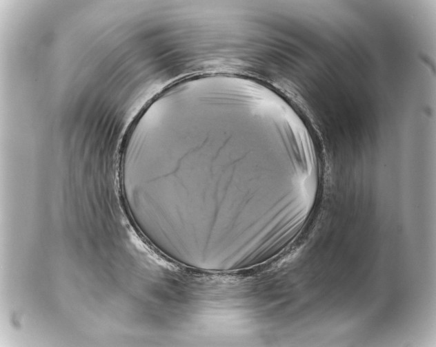 X0000101450941200808041015