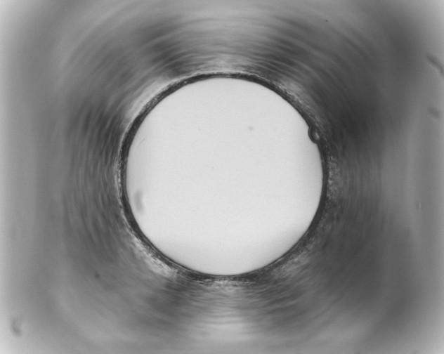 X0000101450942200808041015