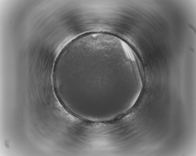 X0000101450943200808041015