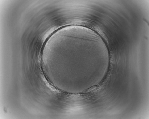 X0000101450944200808041015