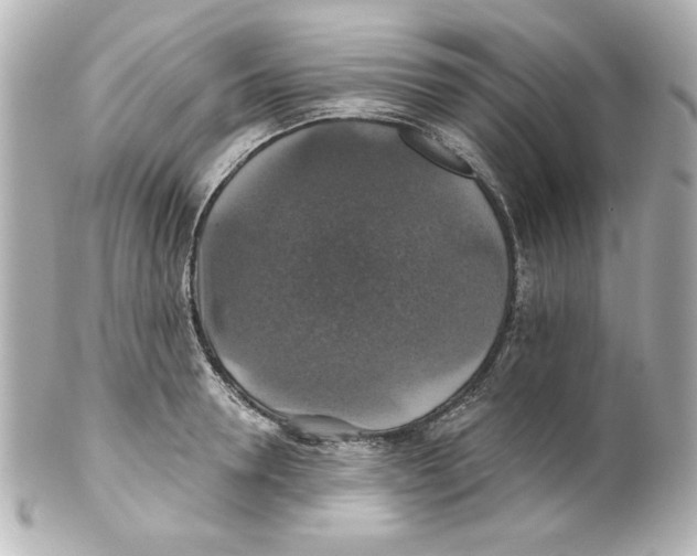 X0000101450946200808041015