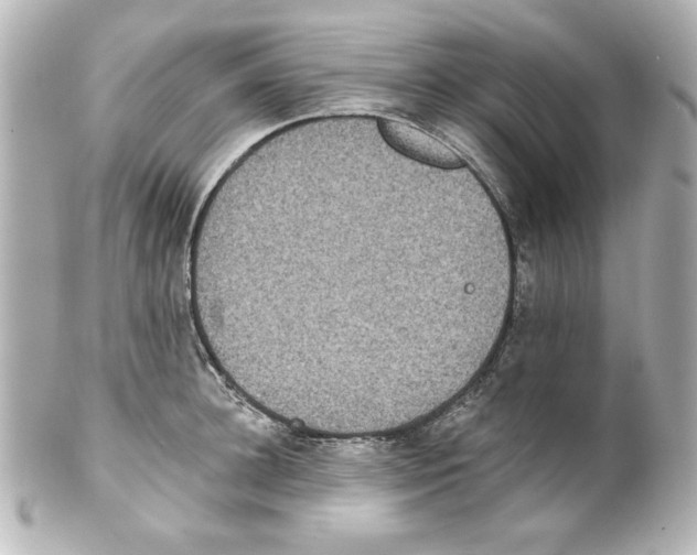 X0000101450948200808041015