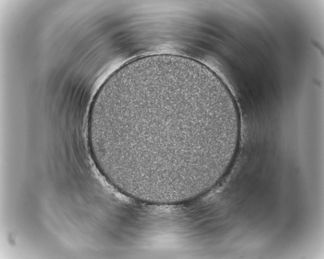 X0000101450949200808041015