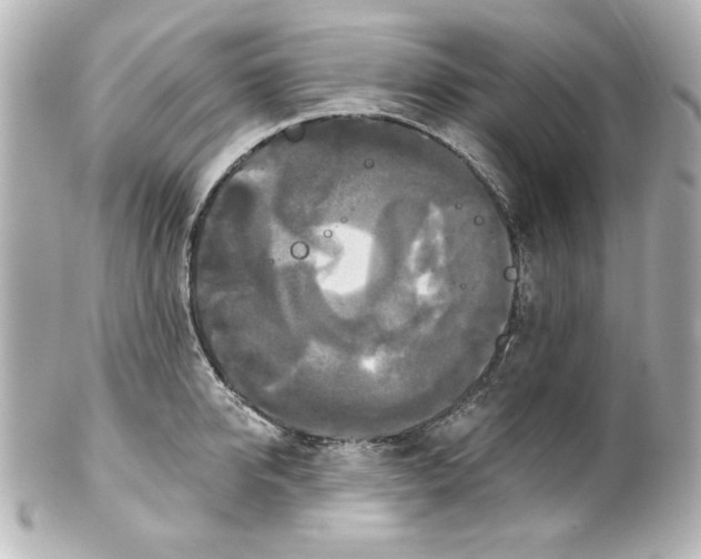 X0000101450950200808041015