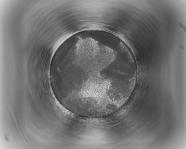 X0000101450951200808041015