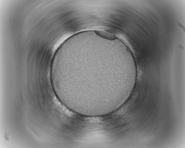 X0000101450952200808041015