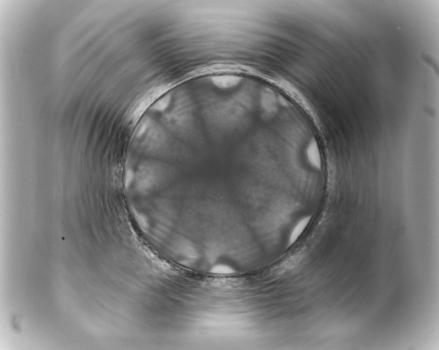 X0000101450953200808041015