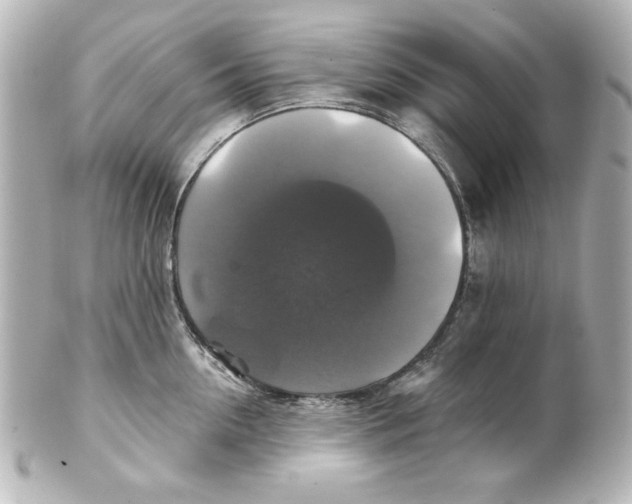 X0000101450954200808041015