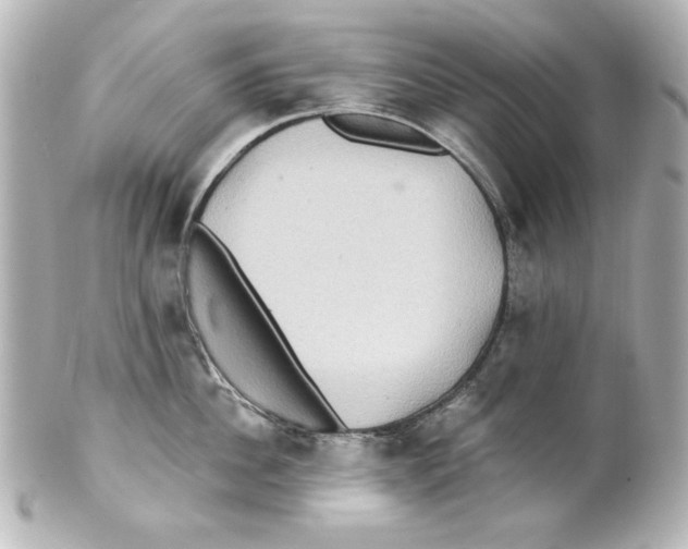 X0000101450956200808041016