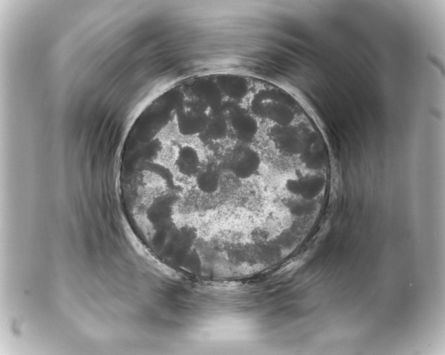 X0000101450957200808041016