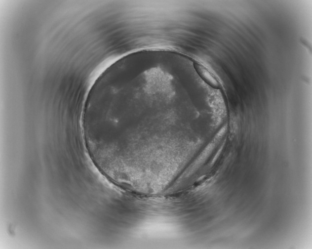 X0000101450959200808041016