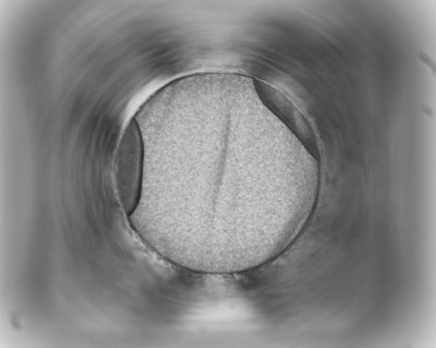 X0000101450960200808041016