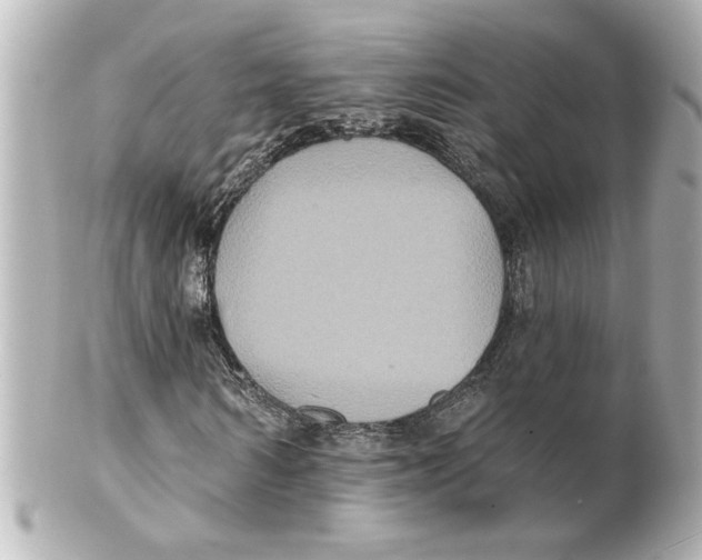 X0000101450962200808041015