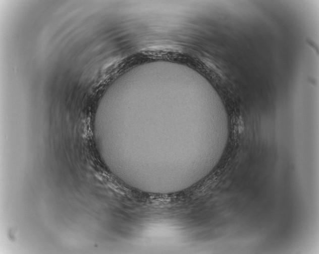 X0000101450965200808041015