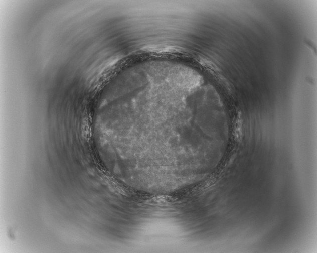 X0000101450966200808041015