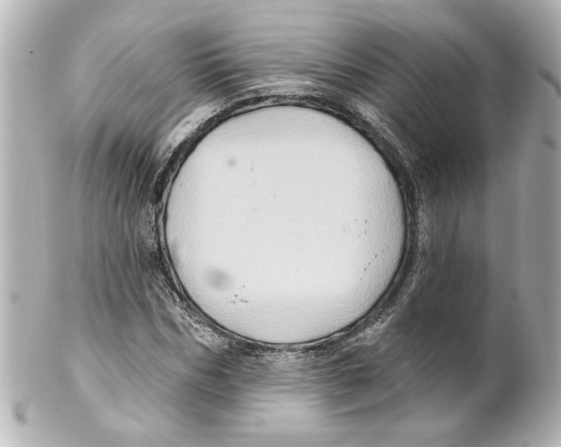 X0000101450970200808041015