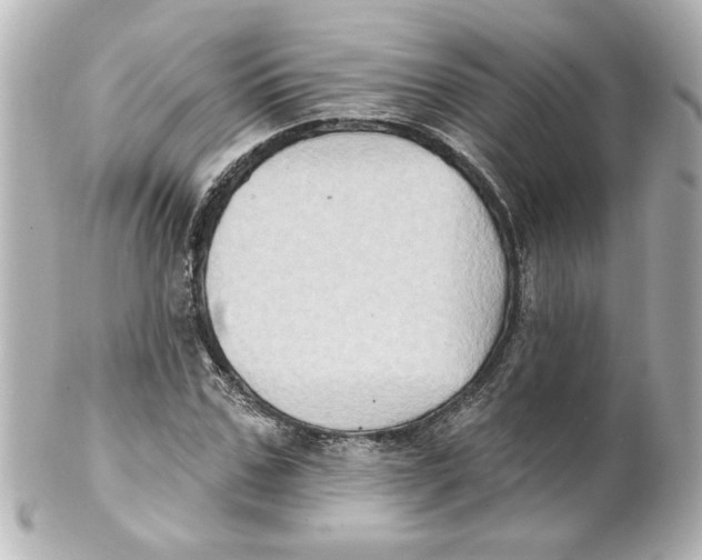 X0000101450971200808041015