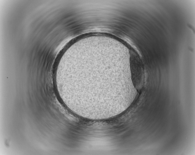 X0000101450972200808041015