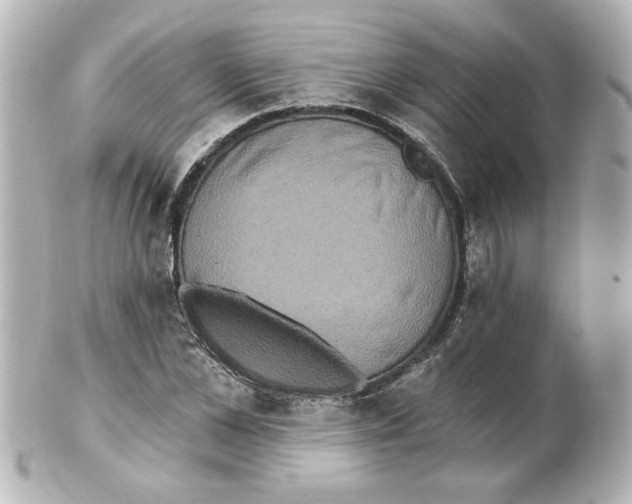 X0000101450973200808041015