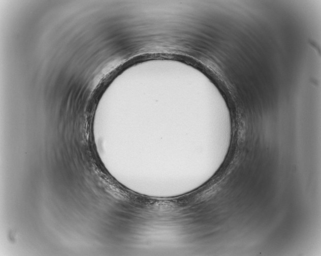 X0000101450974200808041015