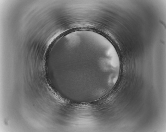 X0000101450975200808041015