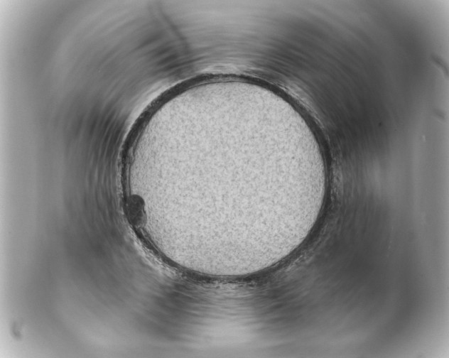 X0000101450976200808041015