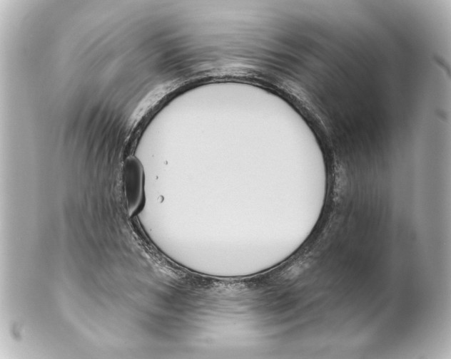 X0000101450978200808041014