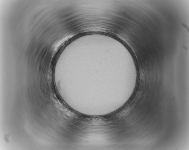 X0000101450979200808041014