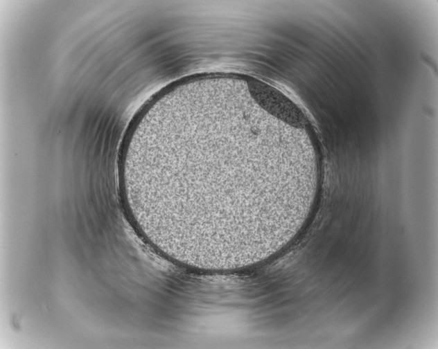 X0000101450980200808041014