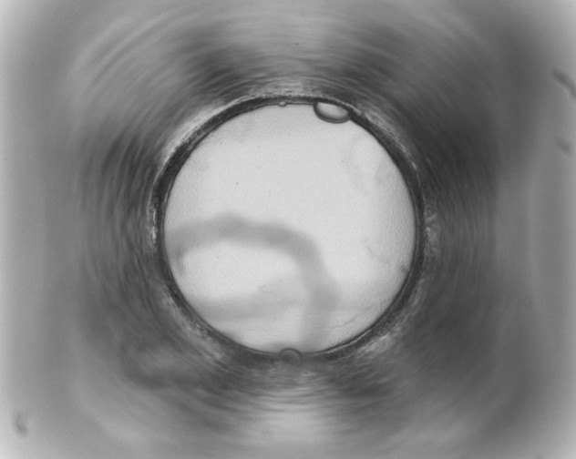 X0000101450981200808041014