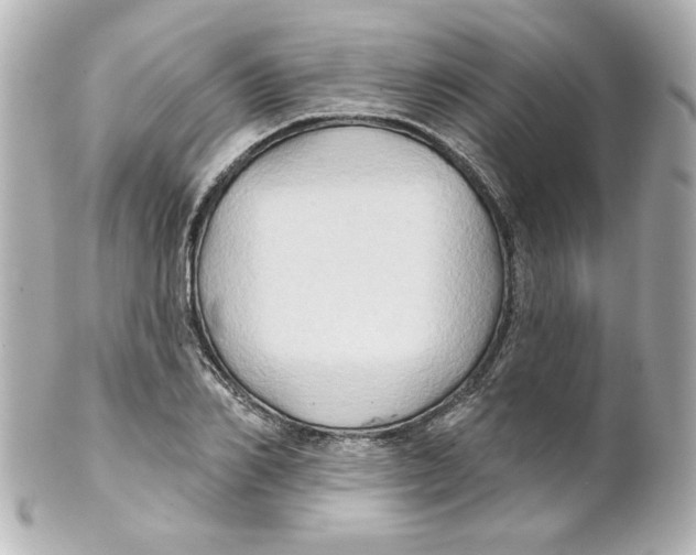 X0000101450982200808041014