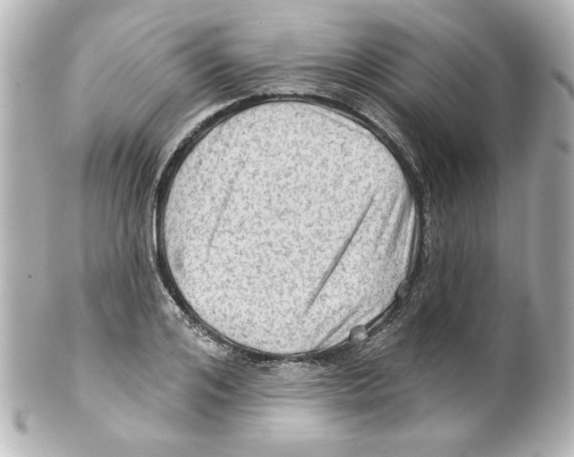 X0000101450984200808041014