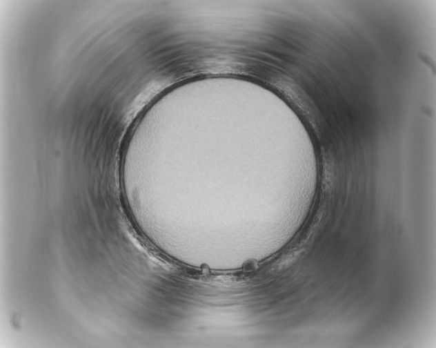 X0000101450986200808041014