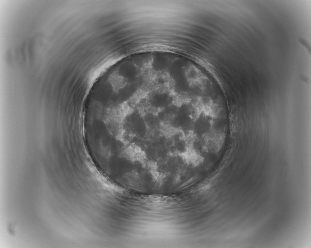 X0000101450987200808041014