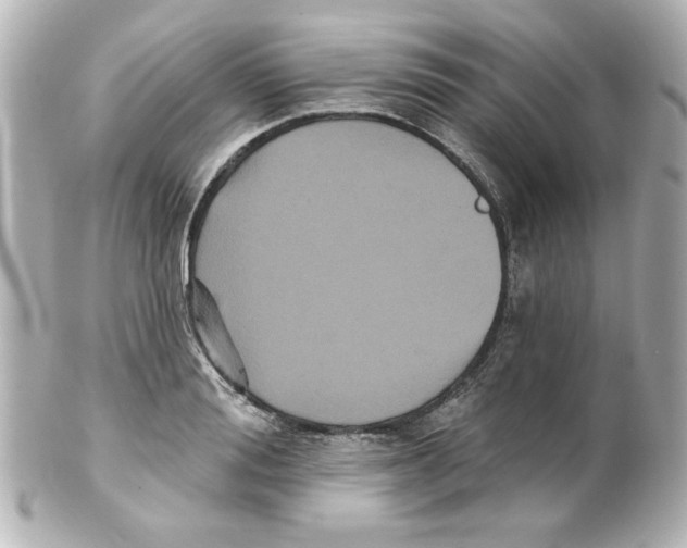 X0000101450988200808041014