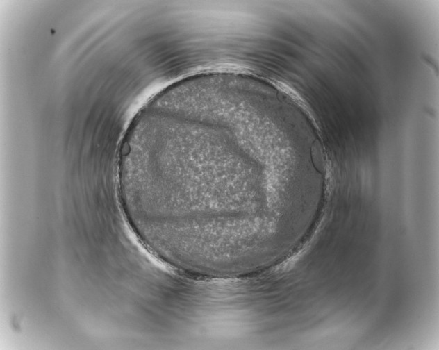 X0000101450989200808041014