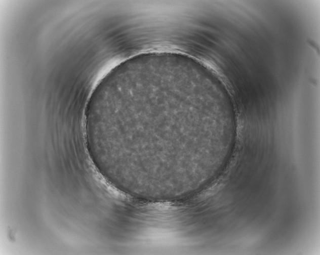 X0000101450990200808041014