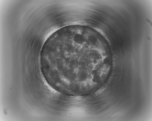 X0000101450991200808041014