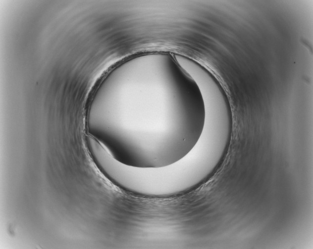 X0000101450992200808041014