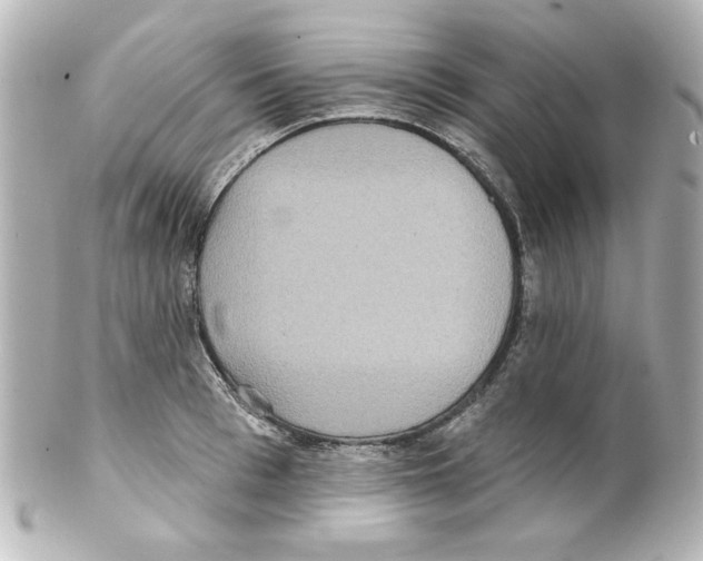 X0000101450993200808041014